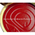 3000g 22%-24% Canned Tomato Paste